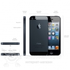Китайский iPhone 5S размеры и отличия